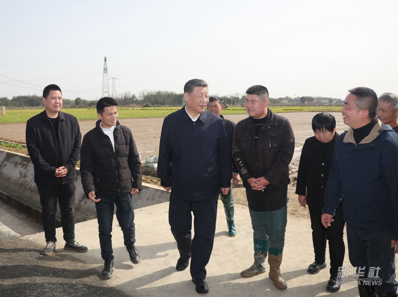 习近平走进农田考察春耕备耕情况