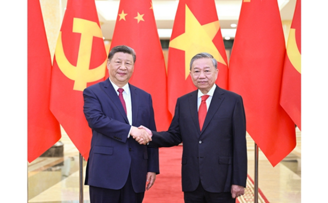 习近平同越共中央总书记苏林举行会谈